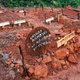 Cyclone Idai: Death toll passes 1,000 with damage to cost billions